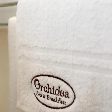 Orchidea *